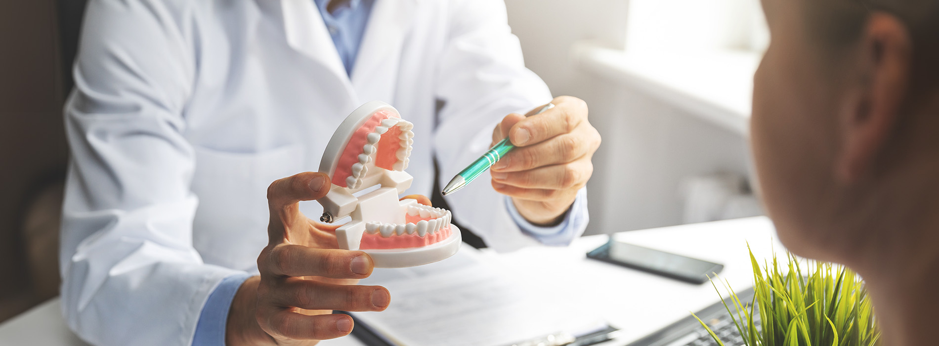 The image shows a dental professional holding a model set of teeth towards a patient s mouth, with both individuals appearing focused on oral care during a consultation.