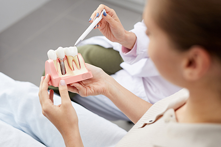 A dental hygienist holding a model mouth with teeth being cleaned while sitting in an office setting.